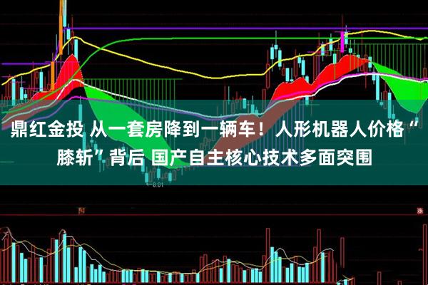 鼎红金投 从一套房降到一辆车！人形机器人价格“膝斩”背后 国产自主核心技术多面突围